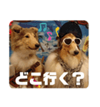 タイム＆リー（個別スタンプ：8）