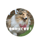 タイム＆リー（個別スタンプ：11）