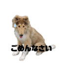 タイム＆リー（個別スタンプ：14）