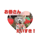 私はメルシー！3（個別スタンプ：13）