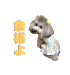 私はメルシー！3（個別スタンプ：17）