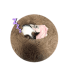 愛犬 チワワ（個別スタンプ：2）