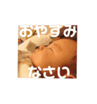 ぷりちーでぇもんのファミリースタンプ（個別スタンプ：24）