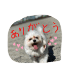 みるくスタンプ！！！（個別スタンプ：3）