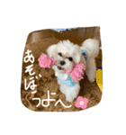 みるくスタンプ！！！（個別スタンプ：10）