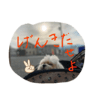 みるくスタンプ！！！（個別スタンプ：15）