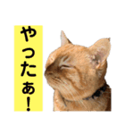 デップとチャー（個別スタンプ：14）
