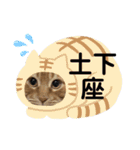 デップとチャー（個別スタンプ：15）