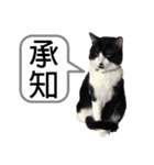 デップとチャー（個別スタンプ：18）