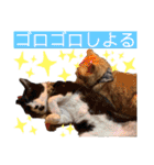 デップとチャー（個別スタンプ：21）
