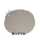 どんぼーる白人のニチジョー（個別スタンプ：2）