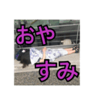 オレのマブダチ大量生産（個別スタンプ：8）