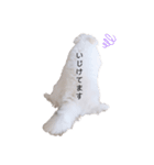 犬のくぅちゃんのスタンプ（個別スタンプ：2）