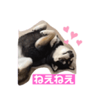 今日の桜子❣️スタンプ（個別スタンプ：9）