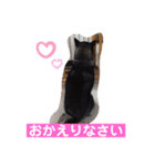 今日の桜子❣️スタンプ（個別スタンプ：11）