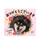 今日の桜子❣️スタンプ（個別スタンプ：14）