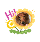 フーちゃんズ（個別スタンプ：3）