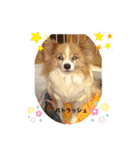 フーちゃんズ（個別スタンプ：18）