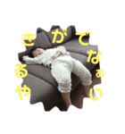 のどかのスタンプ✨6（個別スタンプ：4）