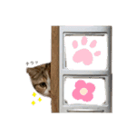 立ち耳スコティッシュ「マリー」（個別スタンプ：23）