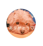 Life of Happy (*´˘`*)♡（個別スタンプ：2）