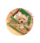 Life of Happy (*´˘`*)♡（個別スタンプ：3）