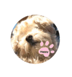 Life of Happy (*´˘`*)♡（個別スタンプ：11）