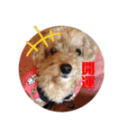 Life of Happy (*´˘`*)♡（個別スタンプ：12）