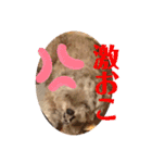 Life of Happy (*´˘`*)♡（個別スタンプ：27）