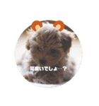 Life of Happy (*´˘`*)♡（個別スタンプ：29）