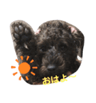 木本家スタンプ（個別スタンプ：1）