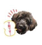 木本家スタンプ（個別スタンプ：2）