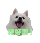 はなびの日常（個別スタンプ：5）