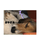 どこかの専門学校のスタンプ（個別スタンプ：10）