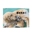 どこかの専門学校のスタンプ（個別スタンプ：13）