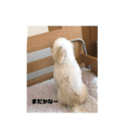 どこかの専門学校のスタンプ（個別スタンプ：18）