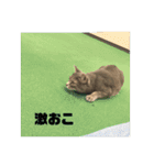 どこかの専門学校のスタンプ（個別スタンプ：19）