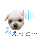 ミルクちゃんの日常（いぬ）パート4（個別スタンプ：8）