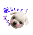 ミルクちゃんの日常（いぬ）パート4（個別スタンプ：9）