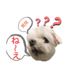 ミルクちゃんの日常（いぬ）パート4（個別スタンプ：15）