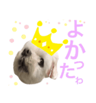 ミルクちゃんの日常（いぬ）パート4（個別スタンプ：16）