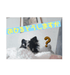 hinatyan0515（個別スタンプ：6）