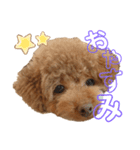 ハナだよっ（個別スタンプ：1）