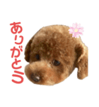 ハナだよっ（個別スタンプ：6）