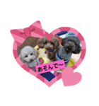 ハッピートイプー（個別スタンプ：4）