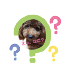 ハッピートイプー（個別スタンプ：5）