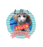 ハッピートイプー（個別スタンプ：6）