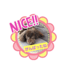 ハッピートイプー（個別スタンプ：7）