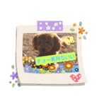 ハッピートイプー（個別スタンプ：10）