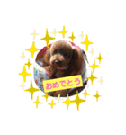 ハッピートイプー（個別スタンプ：11）